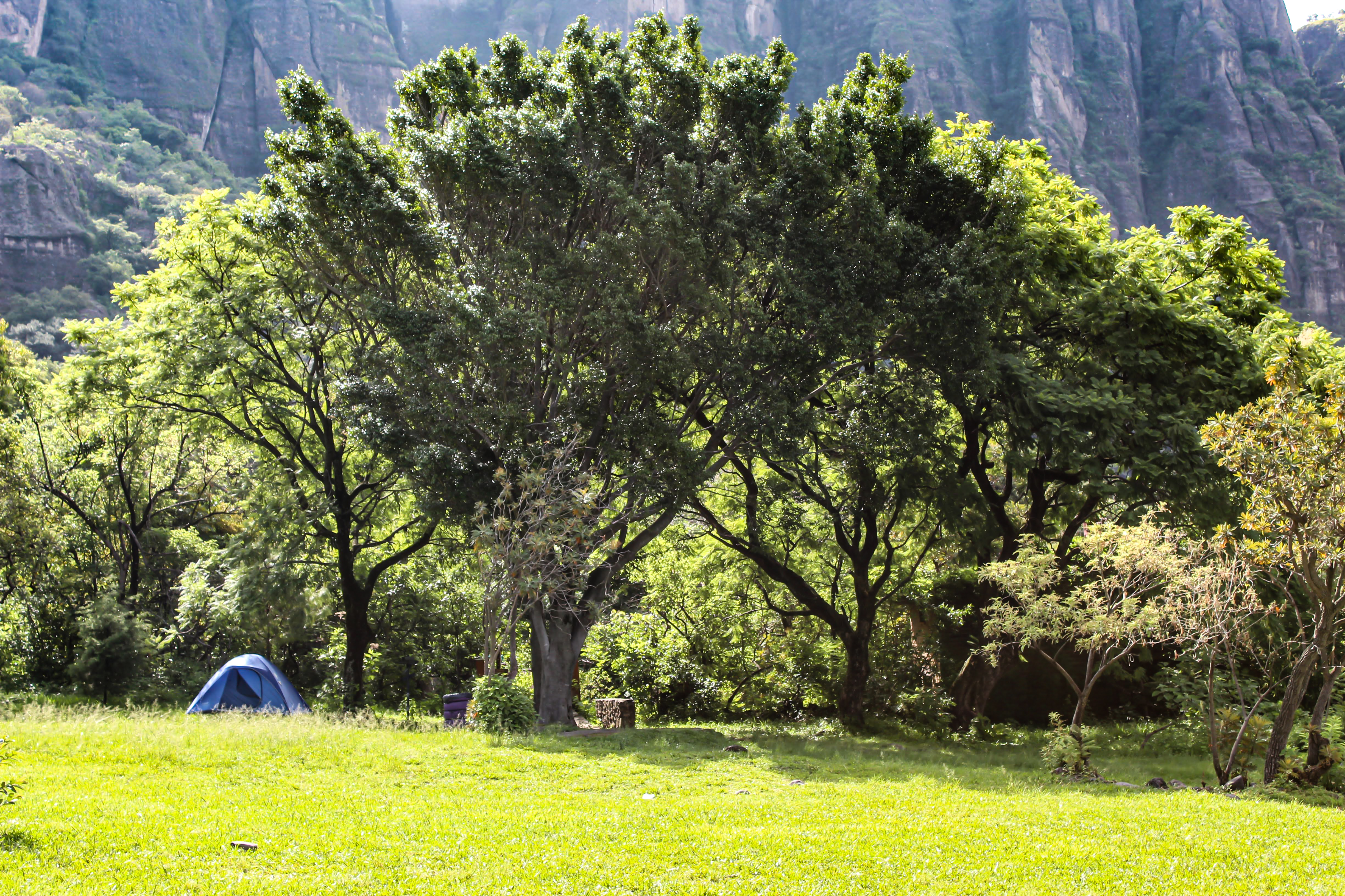 Campismo y bushcraft